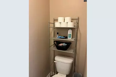 228 Bickley View Court, Chapin, SC 29036 - Photo 27