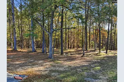 260 Darren Boozer Road, Prosperity, SC 29127 - Photo 27