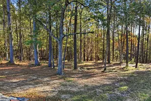 260 Darren Boozer Rd, Prosperity, SC 29127 - Photo 27