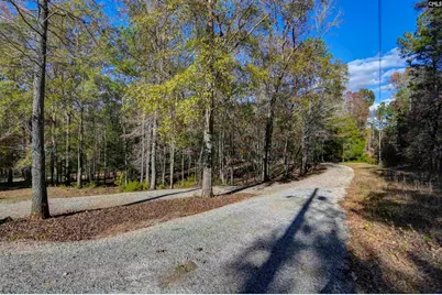 9498 US Highway 176, Pomaria, SC 29126 - Photo 61