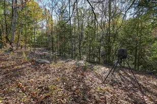 9498 US Hwy 176, Pomaria, SC 29126 - Photo 9