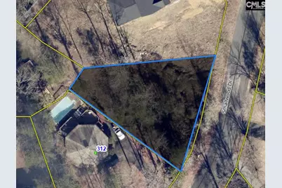 306 Smallwood Drive, Chapin, SC 29036 - Photo 1