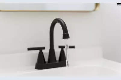 1851 McMichael Street, Orangeburg, SC 29115 - Photo 19