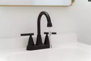 1851 McMichael St, Orangeburg, SC 29115 - Photo 19