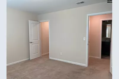 945 Bergenfield Lane, Chapin, SC 29036 - Photo 17