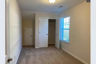 945 Bergenfield Lane, Chapin, SC 29036 - Photo 21