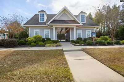 313 Explorer Drive, Chapin, SC 29036 - Photo 67