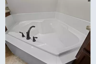 313 Explorer Drive, Chapin, SC 29036 - Photo 33