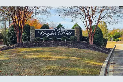 313 Explorer Drive, Chapin, SC 29036 - Photo 63