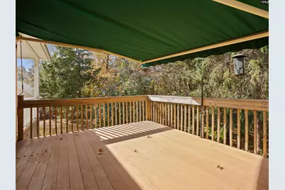 313 Explorer Drive, Chapin, SC 29036 - Photo 51
