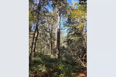 17 Five Bridges Road, Camden, SC 29020 - Photo 9