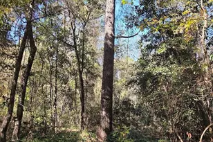 17 Five Bridges Rd, Camden, SC 29020 - Photo 9