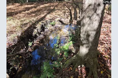 17 Five Bridges Road, Camden, SC 29020 - Photo 11