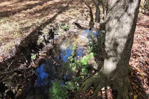 17 Five Bridges Rd, Camden, SC 29020 - Photo 11