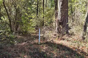 17 Five Bridges Rd, Camden, SC 29020 - Photo 17