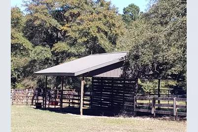 42 Brookwood Road, Camden, SC 29020 - Photo 59