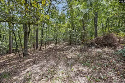 121 Coral Court, Lexington, SC 29073 - Photo 37