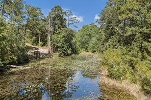121 Coral Ct, Lexington, SC 29073 - Photo 7