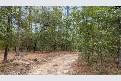 121 Coral Court, Lexington, SC 29073 - Photo 47