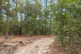 121 Coral Ct, Lexington, SC 29073 - Photo 47