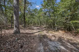 121 Coral Ct, Lexington, SC 29073 - Photo 45