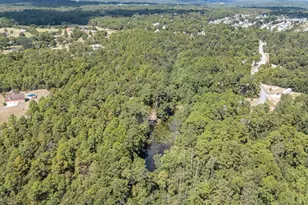 121 Coral Ct, Lexington, SC 29073 - Photo 7