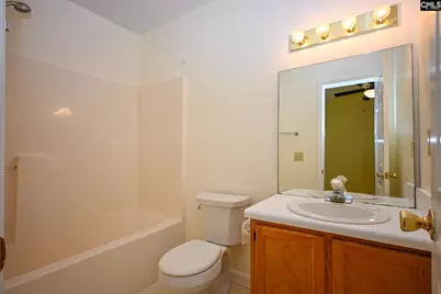 126 Burma Road, Lexington, SC 29072 - Photo 25