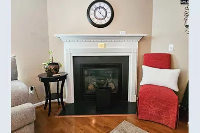 333 Tall Shadows Lane, Columbia, SC 29229 - Photo 9