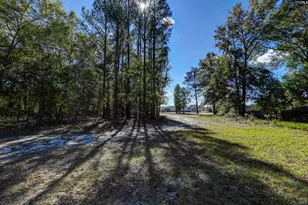 331 Langford Rd, Blythewood, SC 29016 - Photo 45