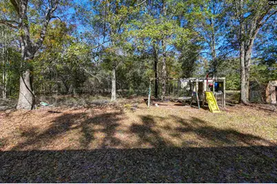 331 Langford Road, Blythewood, SC 29016 - Photo 39