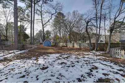 706 Birch Knot Court, Lexington, SC 29073 - Photo 31