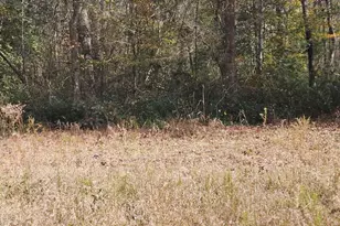 4079 Jefferson Davis Hwy, Bethune, SC 29009 - Photo 1