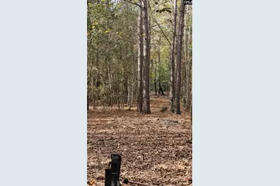 4079 Jefferson Davis Highway, Bethune, SC 29009 - Photo 19