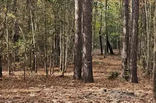 4079 Jefferson Davis Hwy, Bethune, SC 29009 - Photo 19