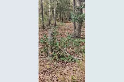 4079 Jefferson Davis Highway, Bethune, SC 29009 - Photo 3