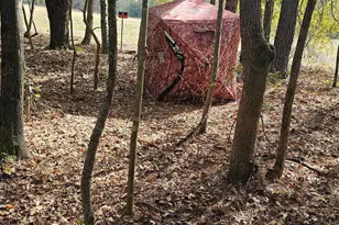 4079 Jefferson Davis Hwy, Bethune, SC 29009 - Photo 17