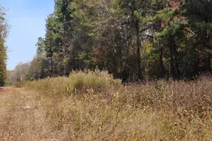 4079 Jefferson Davis Hwy, Bethune, SC 29009 - Photo 13