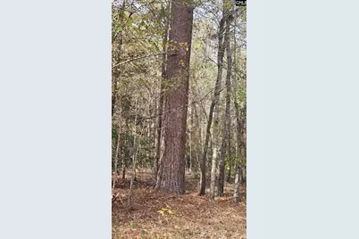 4079 Jefferson Davis Highway, Bethune, SC 29009 - Photo 27