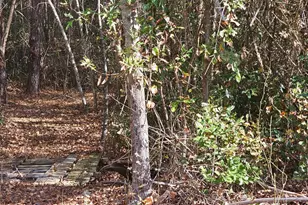 4079 Jefferson Davis Hwy, Bethune, SC 29009 - Photo 29