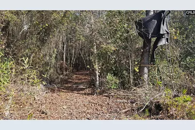 4079 Jefferson Davis Highway, Bethune, SC 29009 - Photo 21