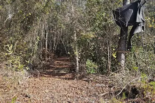 4079 Jefferson Davis Hwy, Bethune, SC 29009 - Photo 21