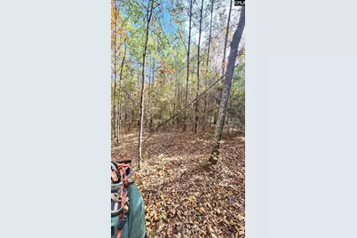 4079 Jefferson Davis Highway, Bethune, SC 29009 - Photo 15