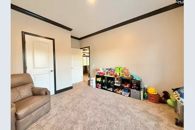 4954 Sc Highway 773, Pomaria, SC 29126 - Photo 15