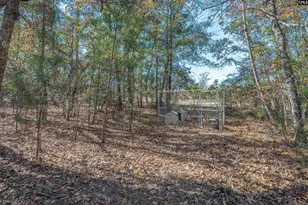 405 Frank Moorer Dr, Swansea, SC 29160 - Photo 55