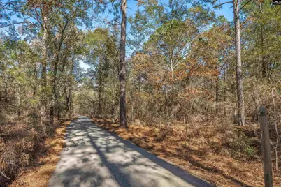 405 Frank Moorer Drive, Swansea, SC 29160 - Photo 79