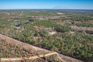 405 Frank Moorer Dr, Swansea, SC 29160 - Photo 71