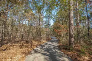 405 Frank Moorer Dr, Swansea, SC 29160 - Photo 81