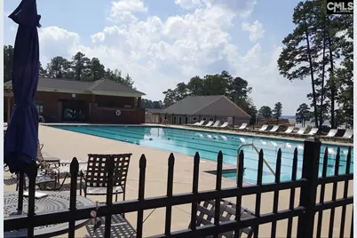 105 Linkside Court, Chapin, SC 29036 - Photo 47