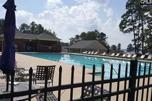 105 Linkside Ct, Chapin, SC 29036 - Photo 47