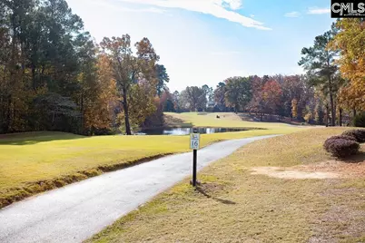 105 Linkside Court, Chapin, SC 29036 - Photo 5